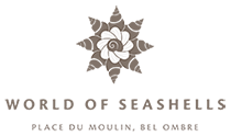The world of Seashells Museum Mauritius